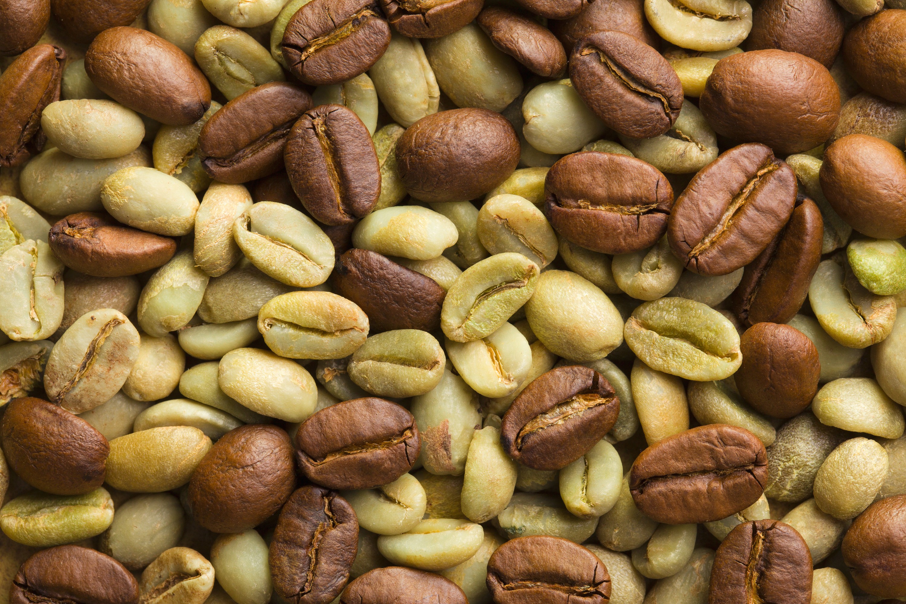 Najtelo Zelená káva drcená 100% Arabica z Brazílie 1 kg - Obrázek 4