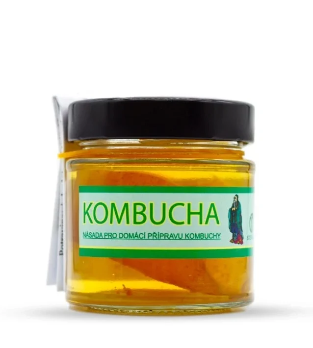 Kombucha houba - kultura 150ml Stevikom