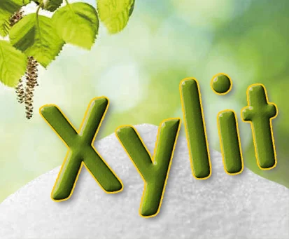 Xylitol Březový cukr 1kg - Obrázek 16
