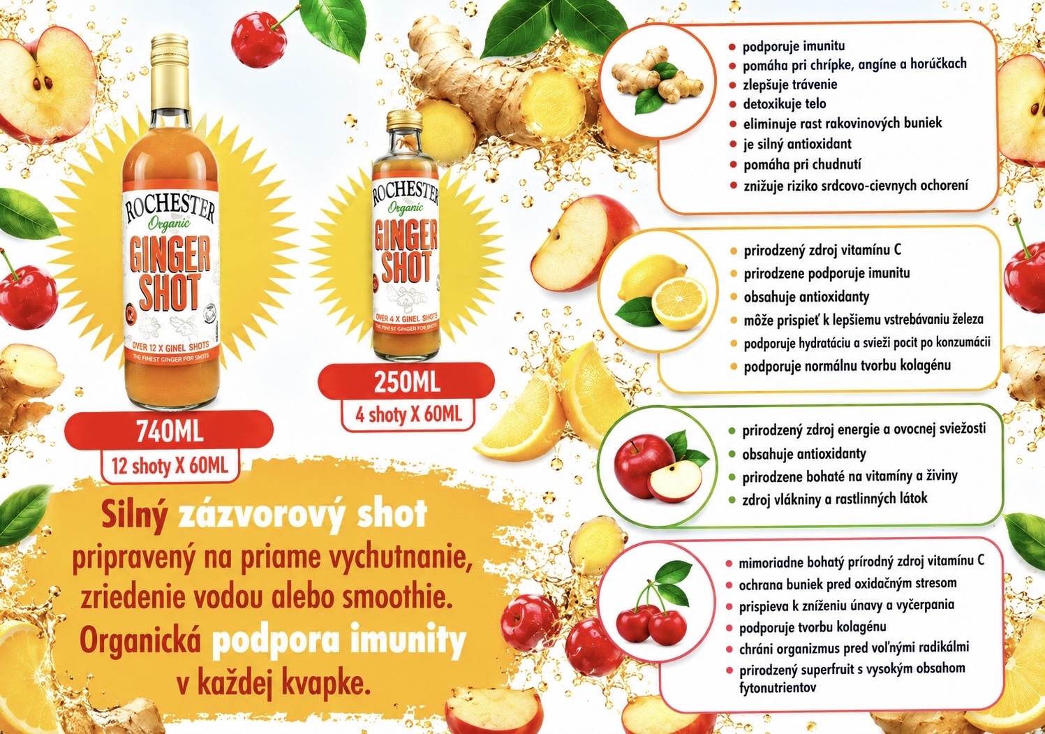 Rochester Ginger BIO Shot 250ml - Obrázek 3